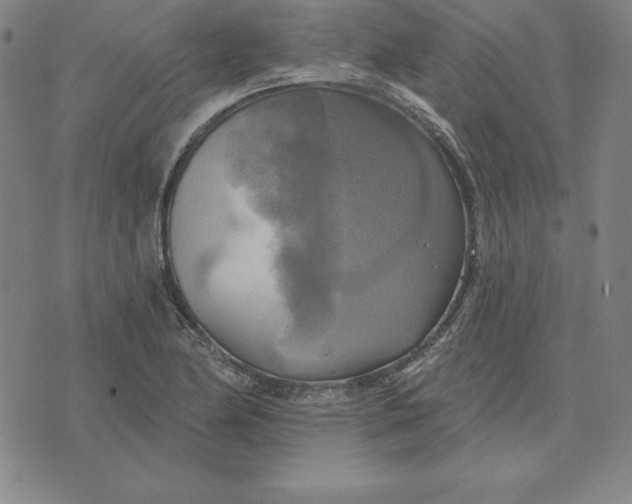 X0000071911174200607281821