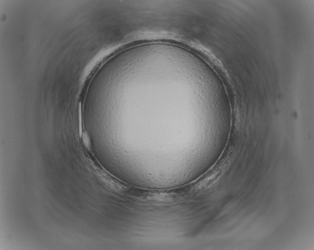 X0000071911175200607281821