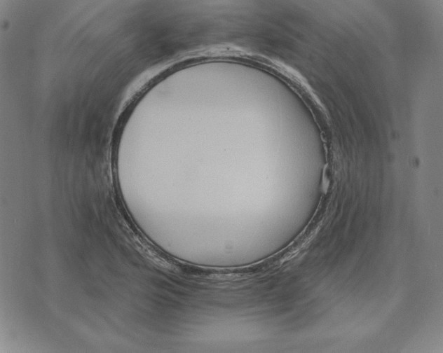 X0000071911176200607281821