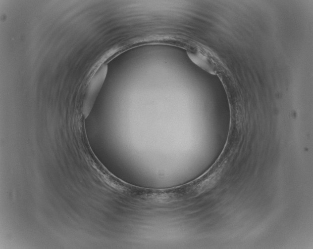 X0000071911177200607281821