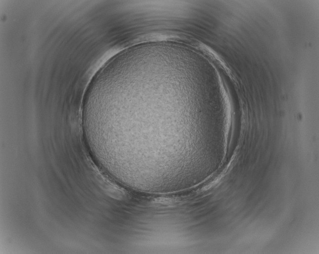 X0000071911178200607281821