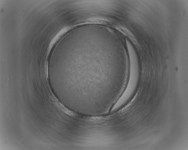 X0000071911180200607281821