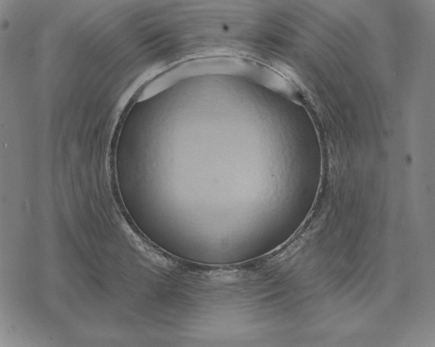 X0000071911181200607281821