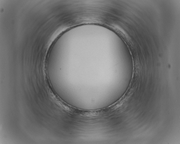 X0000071911182200607281821