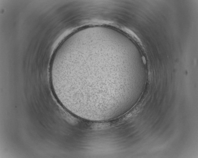 X0000071911183200607281821