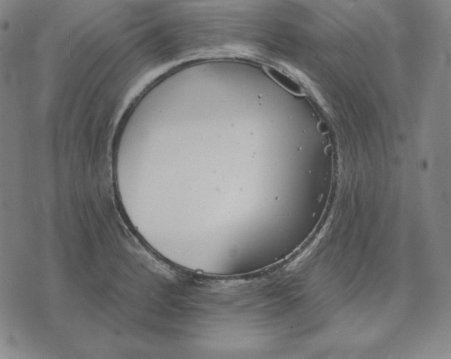 X0000071911184200607281821