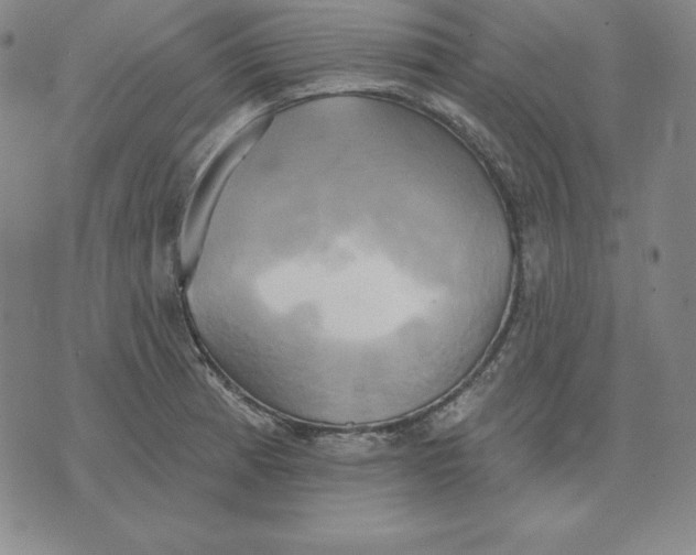 X0000071911185200607281821