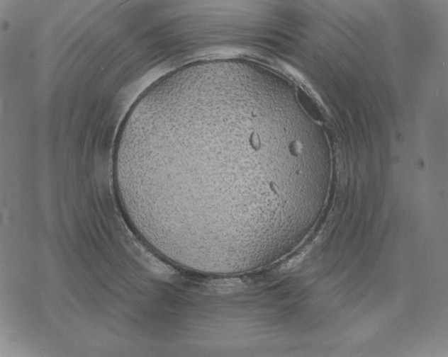 X0000071911186200607281821