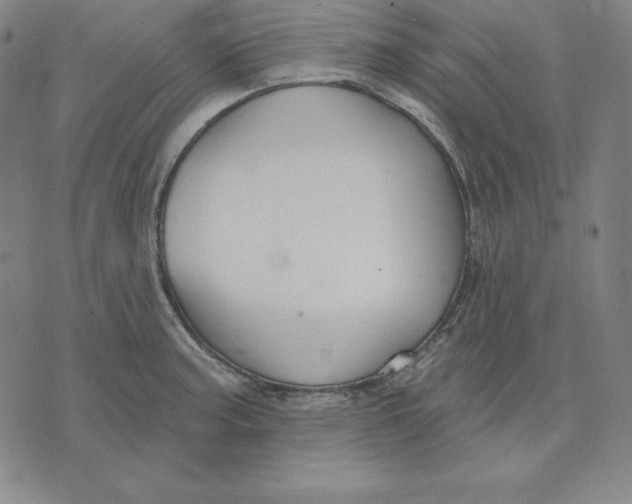 X0000071911187200607281821