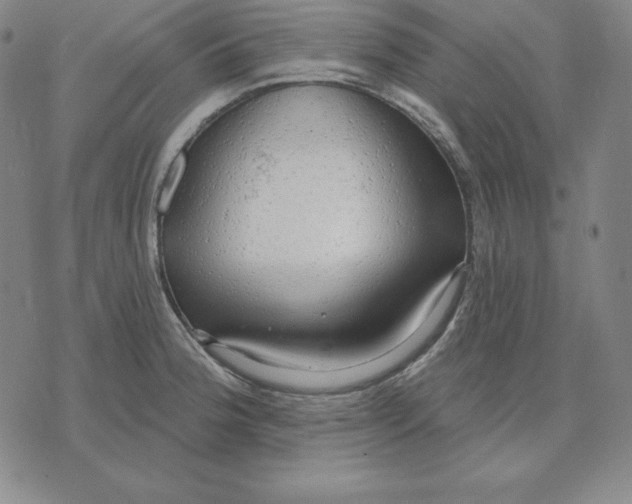 X0000071911188200607281821