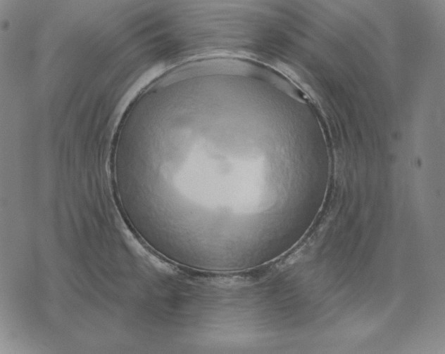 X0000071911189200607281821