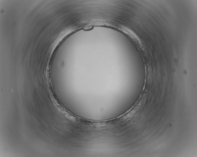 X0000071911190200607281821