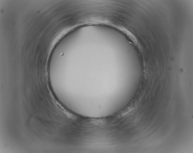 X0000071911191200607281821