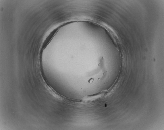 X0000071911192200607281820