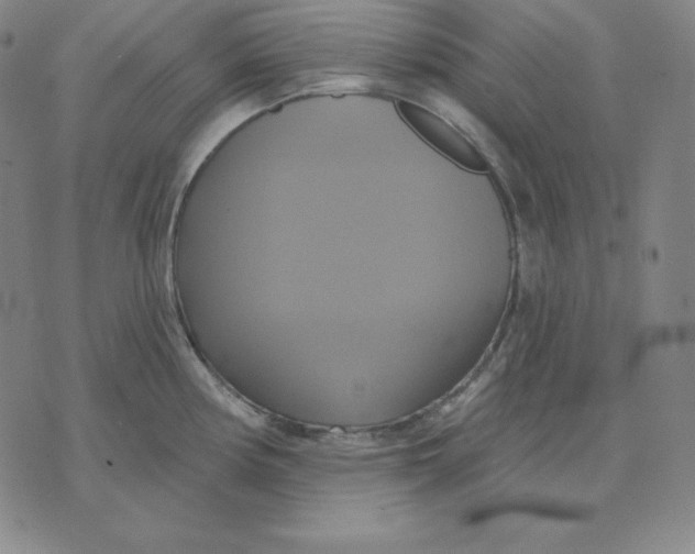 X0000071911194200607281820