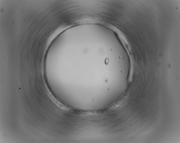 X0000071911195200607281820