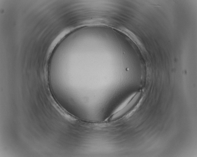 X0000071911196200607281820