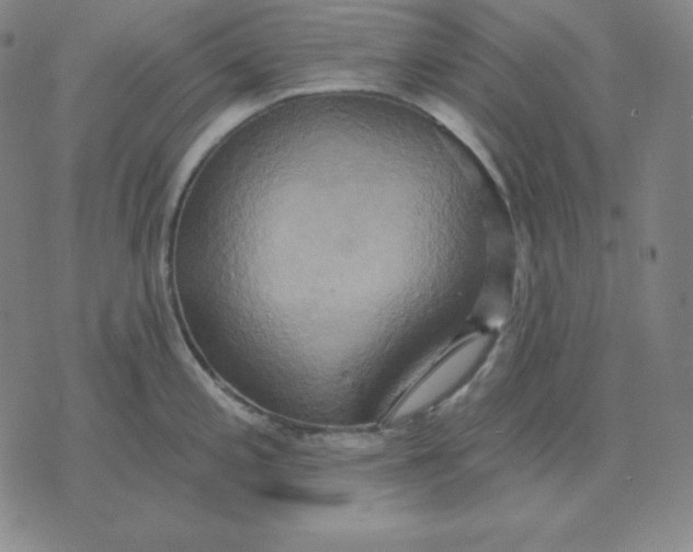 X0000071911197200607281820