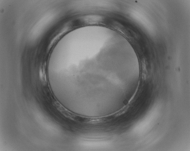 X0000071911198200607281820