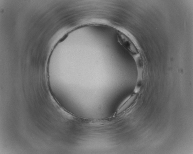 X0000071911199200607281820