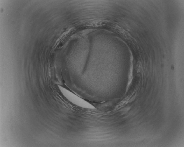 X0000071911202200607281820