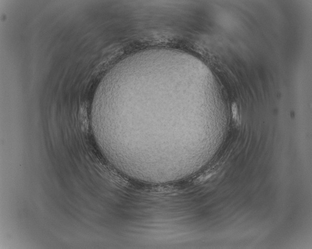 X0000071911203200607281820