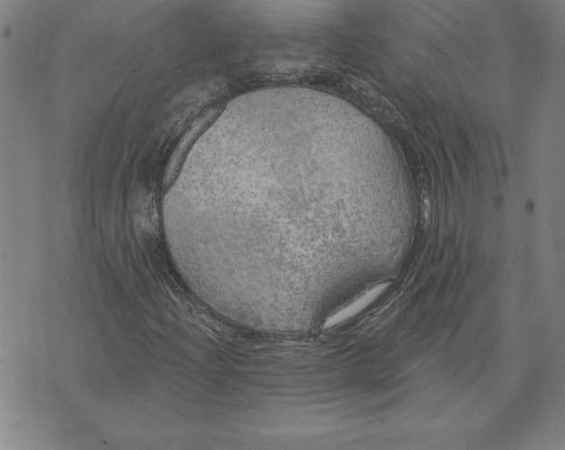 X0000071911204200607281820