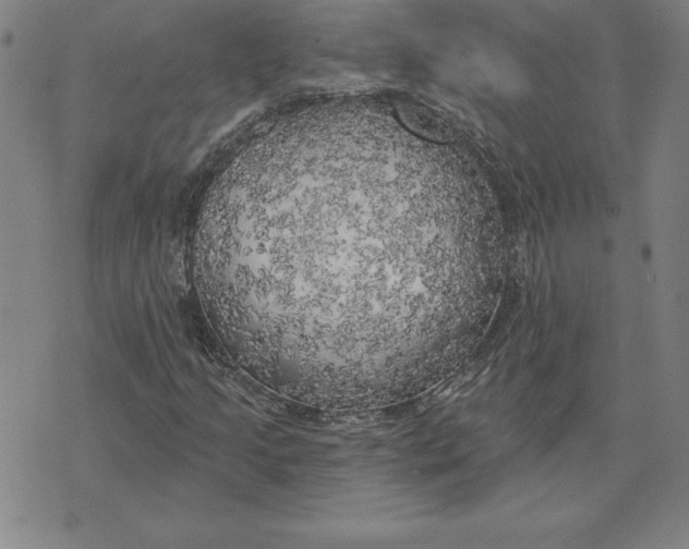 X0000071911205200607281820