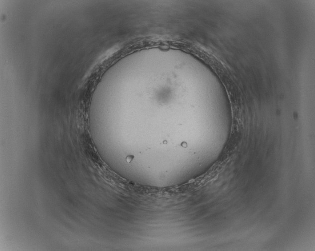 X0000071911207200607281820