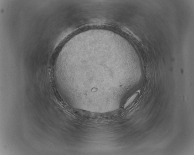 X0000071911208200607281820