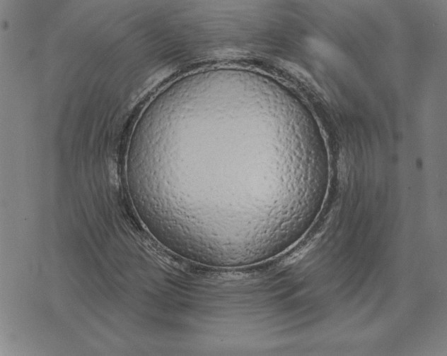 X0000071911209200607281820