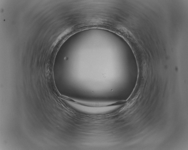 X0000071911210200607281820