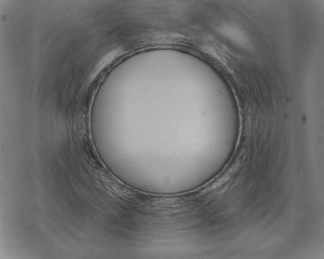 X0000071911211200607281820