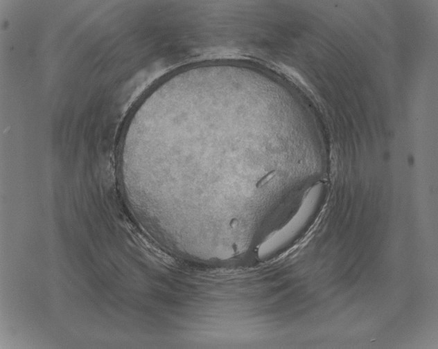 X0000071911212200607281820