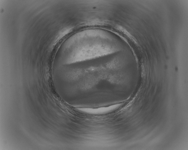 X0000071911213200607281820