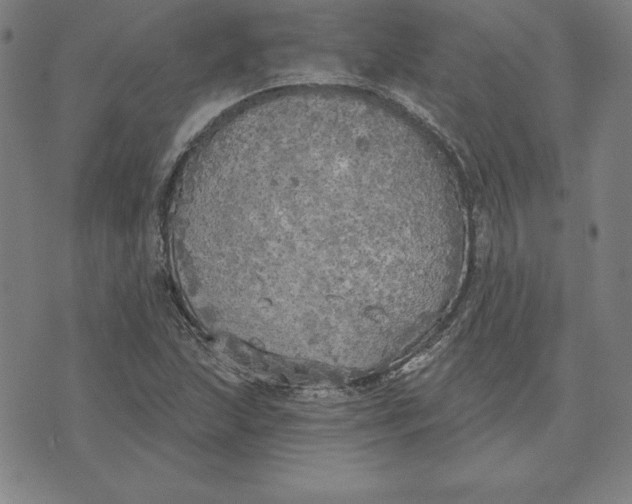 X0000071911215200607281820