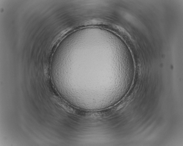 X0000071911217200607281820