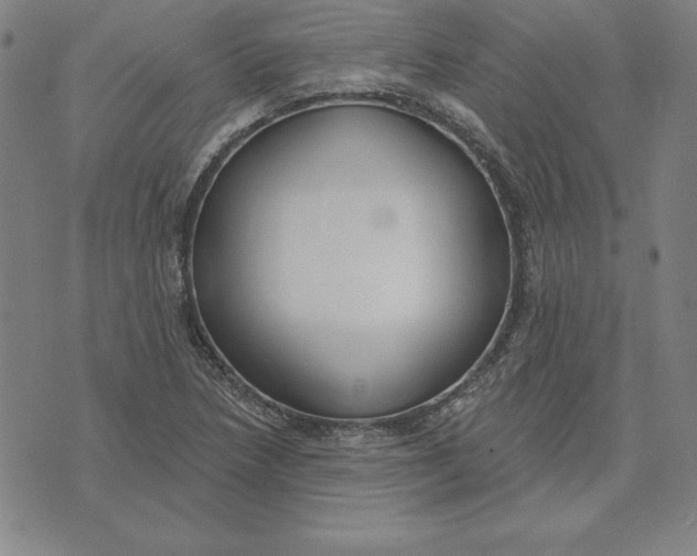 X0000071911218200607281820