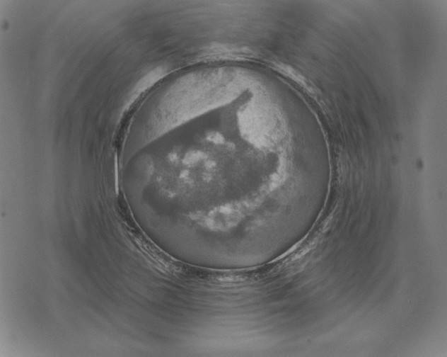 X0000071911219200607281820