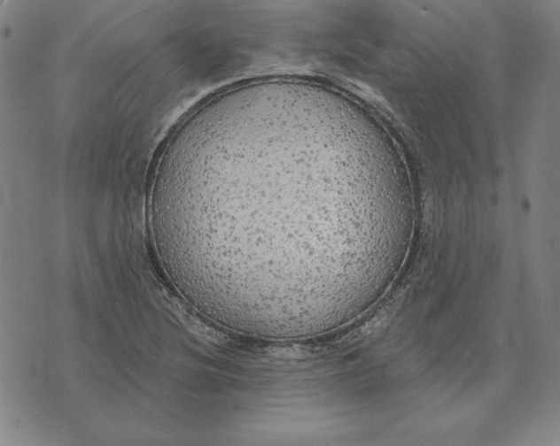 X0000071911220200607281820