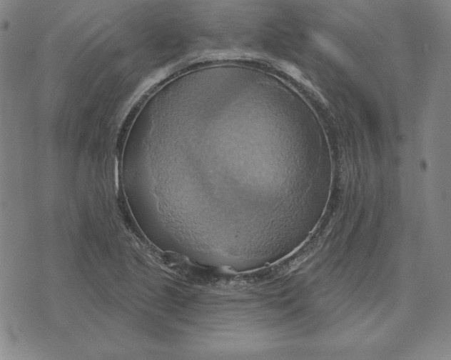 X0000071911221200607281820