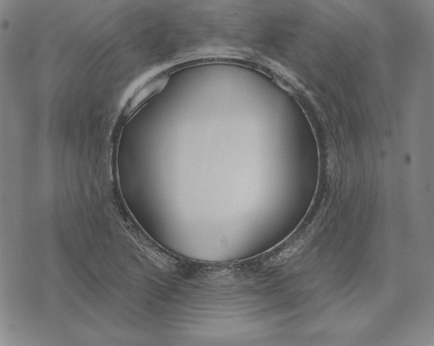 X0000071911222200607281820