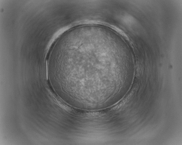 X0000071911223200607281820