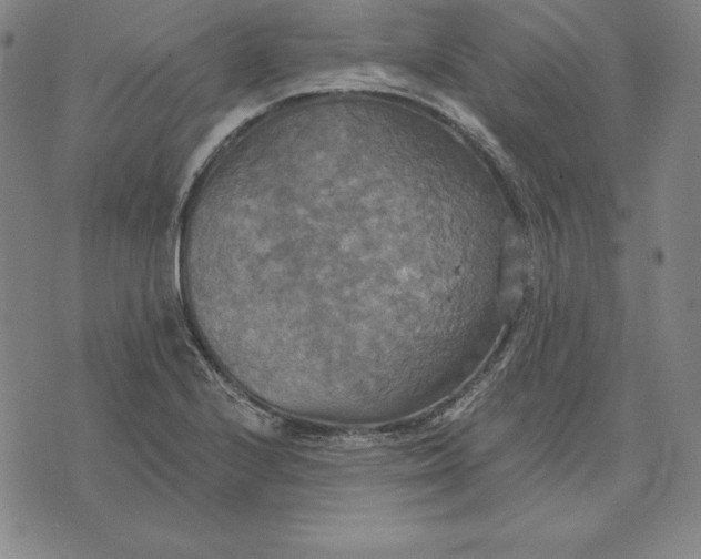 X0000071911224200607281820