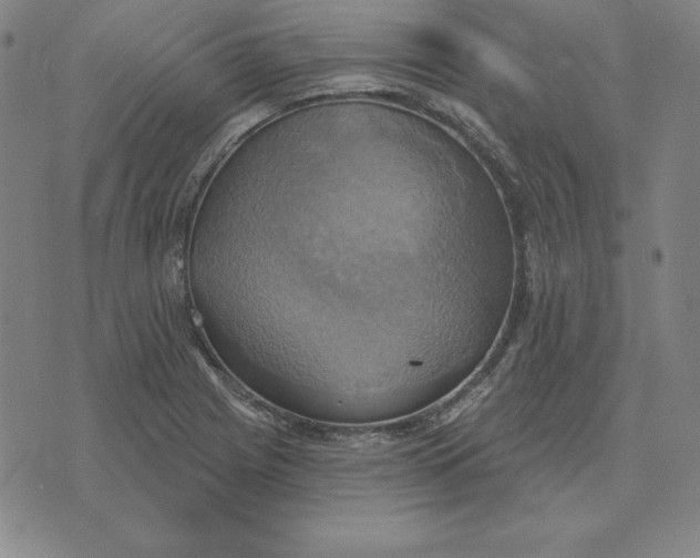 X0000071911225200607281820