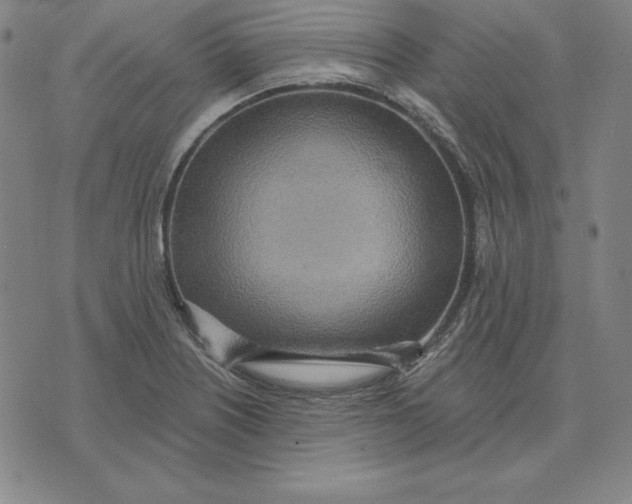 X0000071911226200607281820