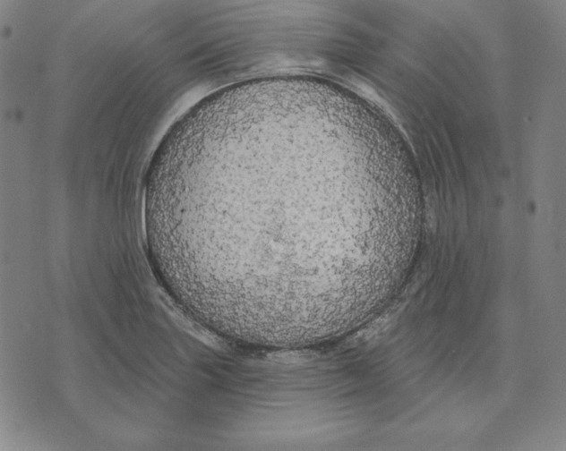 X0000071911227200607281820