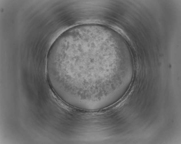 X0000071911228200607281820