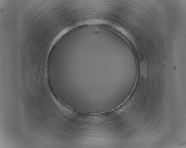 X0000071911229200607281820