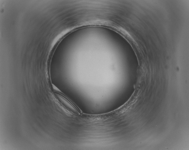 X0000071911230200607281820